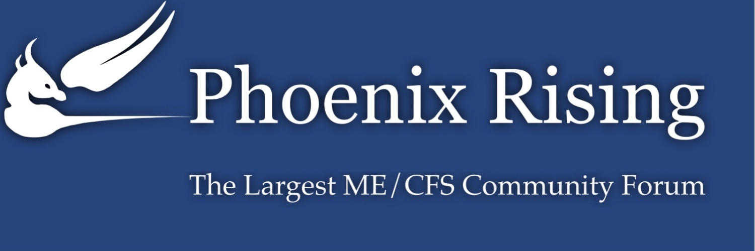 Phoenix Rising banner