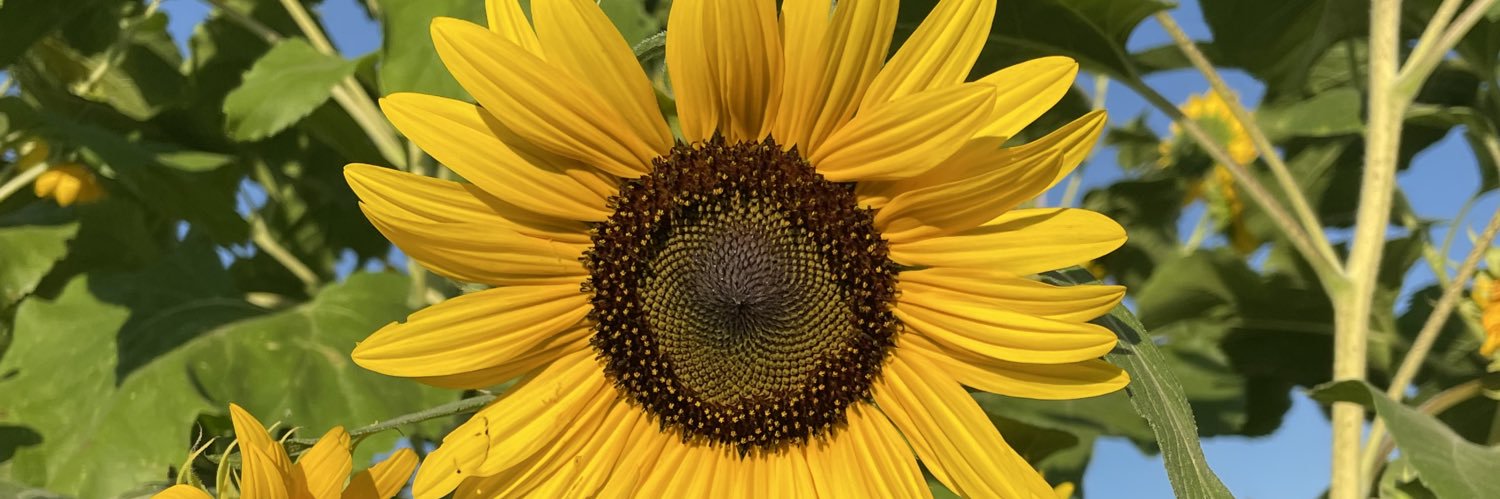 吉村 奈恵 banner