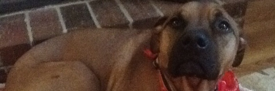 herbdowdy's profile banner image
