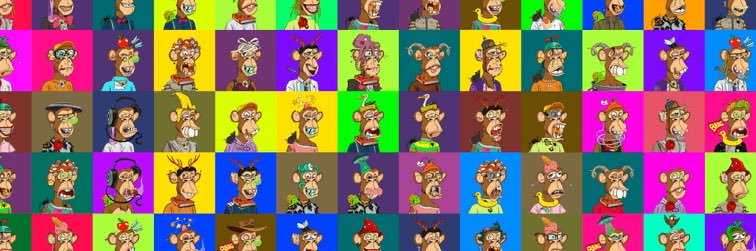 jacq1511's profile banner image