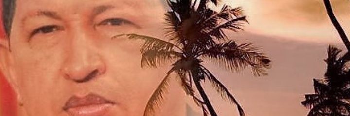 magimarin's profile banner image