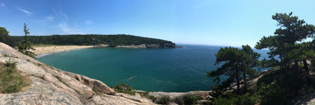 Angela Muirhead banner