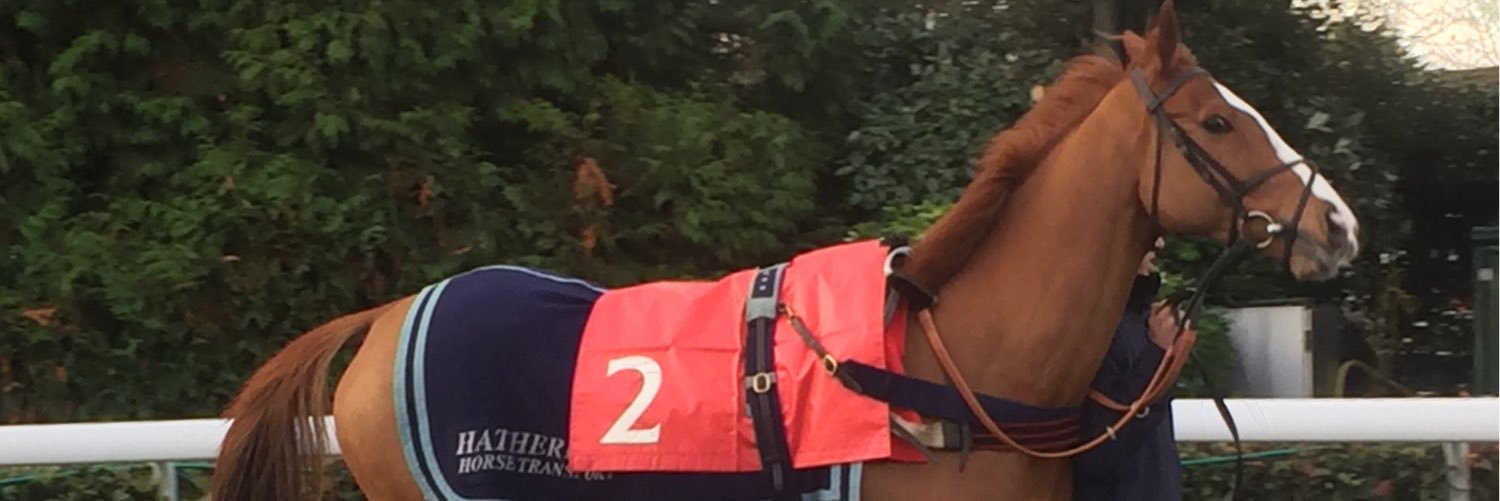 AndyKellyWonder's profile banner image