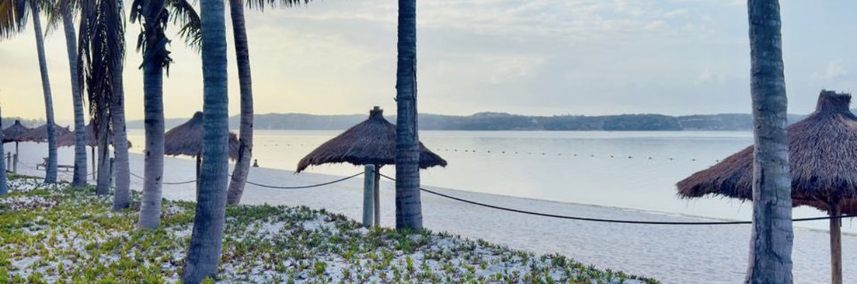 filwe_a's profile banner image