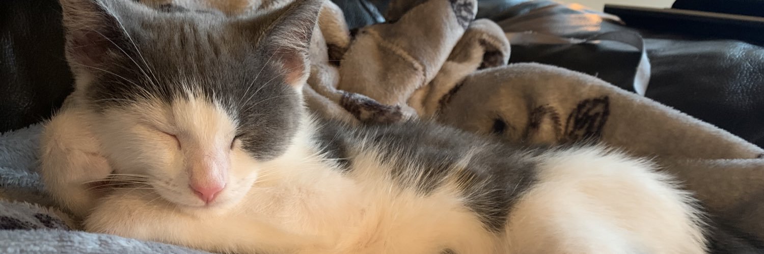 Tuffy1782's profile banner image