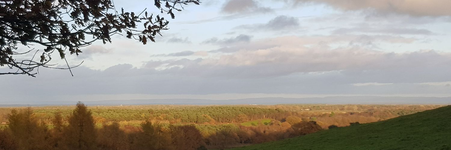 EDZWARING's profile banner image