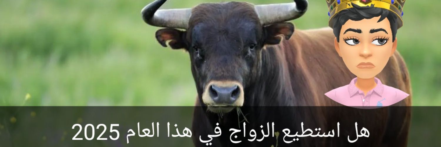 ♛ Mahamed ♛'s banner