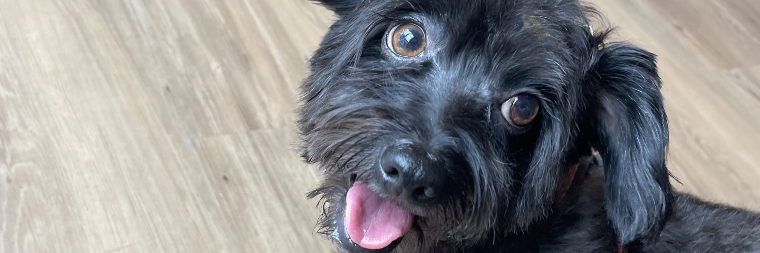 SabrinaCoradin2's profile banner image