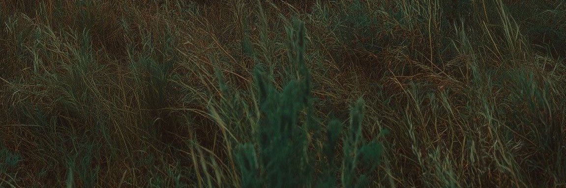 VFSC29's profile banner image