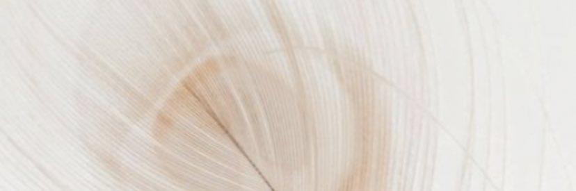 amypercivalXx's profile banner image