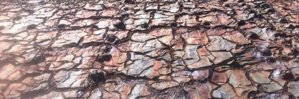 alexrtsx Profile Banner