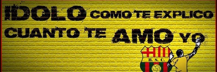 solanocalle's profile banner image