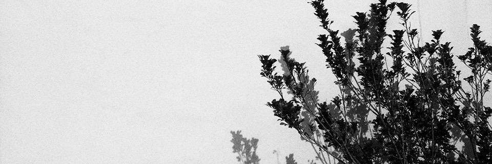 GwenythWR's profile banner image