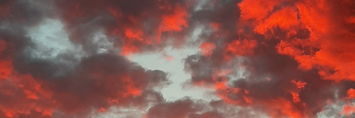 Shane Fitzpatrick banner