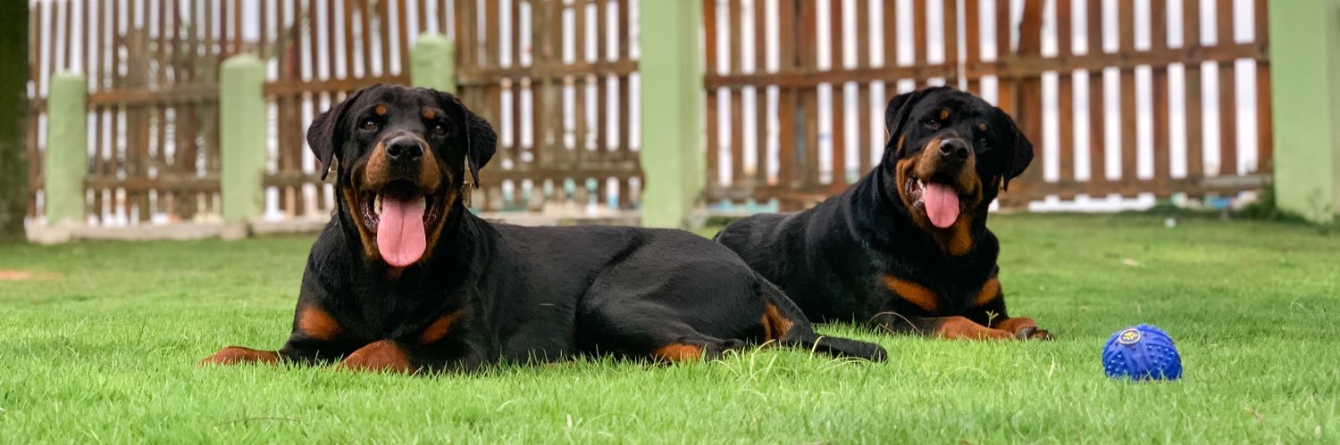 Rodolfo Baquerizo C banner