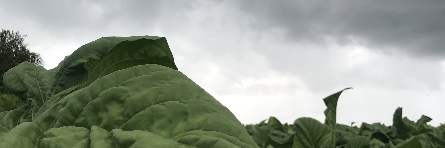 ndikudzi's profile banner image