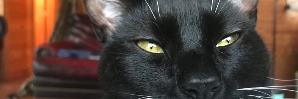 uofphenix's profile banner image