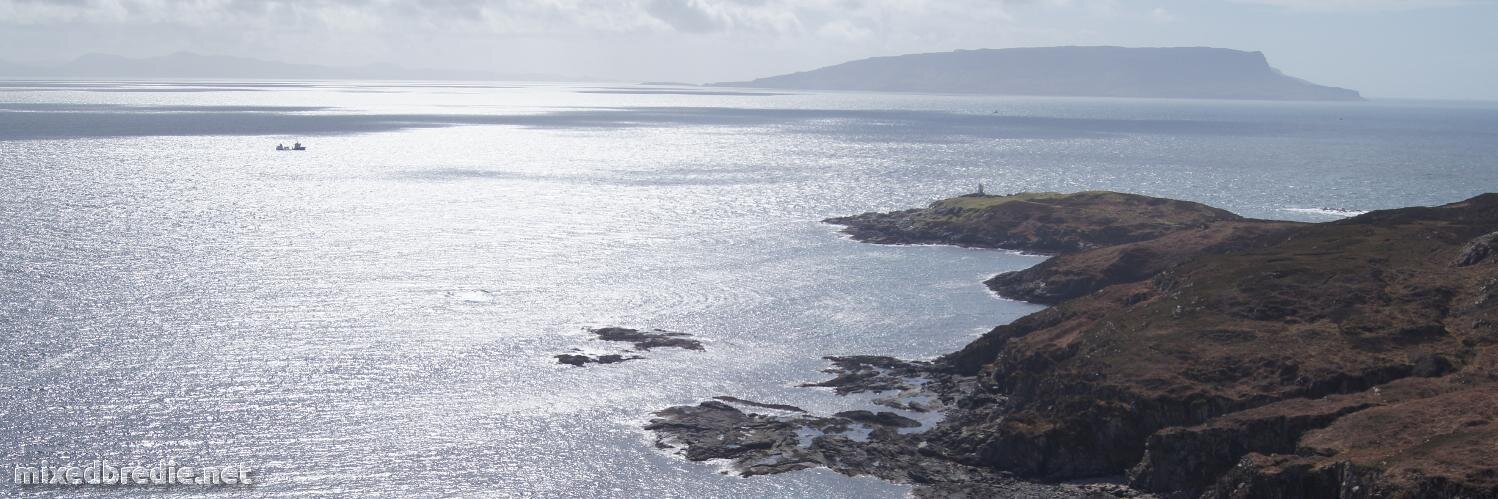 Ross McDonald banner