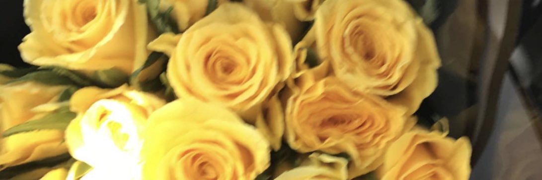 afaf2013s1's profile banner image