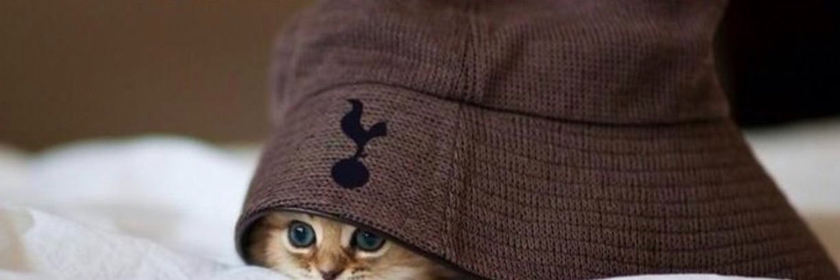 iYelo_'s profile banner image