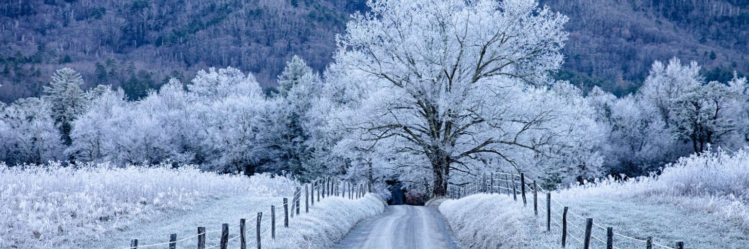 Josie Jones 🇺🇸 #WomensRights #Resist #Metoo banner