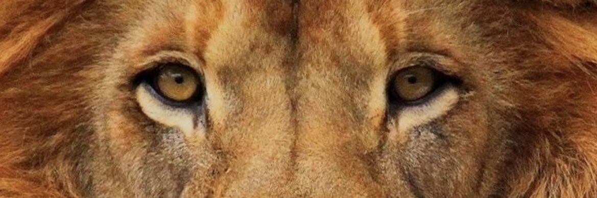 AlvaroBezos's profile banner image