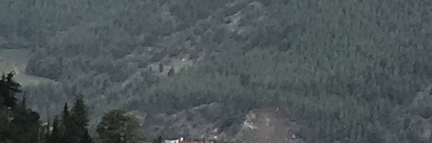 Ayaksız Zürafa banner