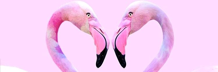 MsCherrySundae's profile banner image