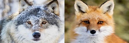 axel_swailli's profile banner image