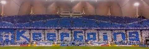 زايد banner