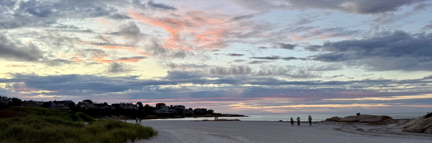 Paige McCormick banner