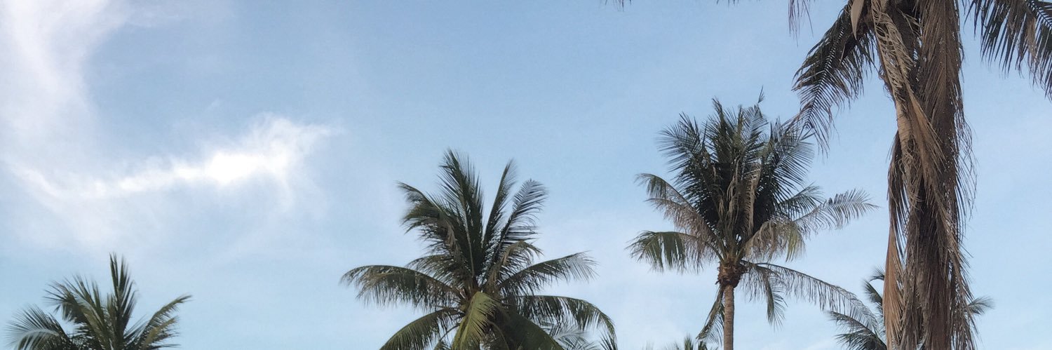 KDissara's profile banner image