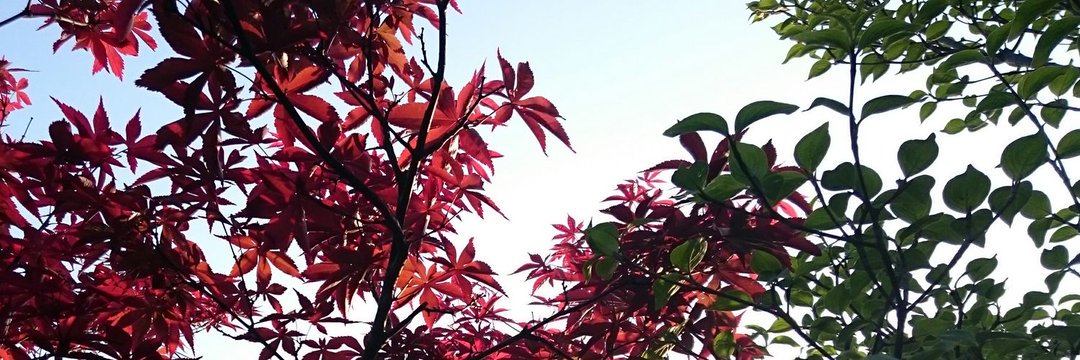 ryu_u9's profile banner image