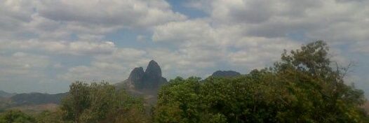 Nesleyda Urbaneja banner