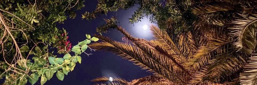 aloodod's profile banner image