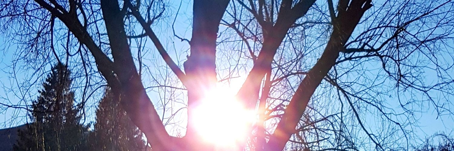 ParthOtiya's profile banner image