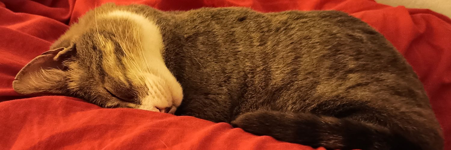 ReQuiEM 🚑💨 banner