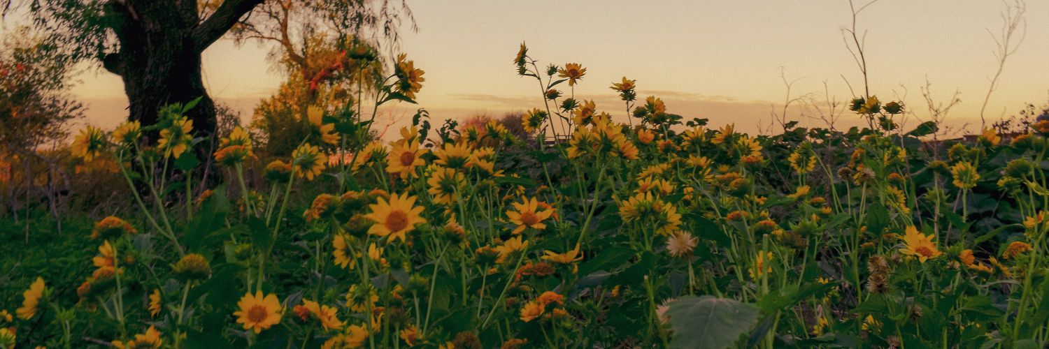 jennlt91's profile banner image