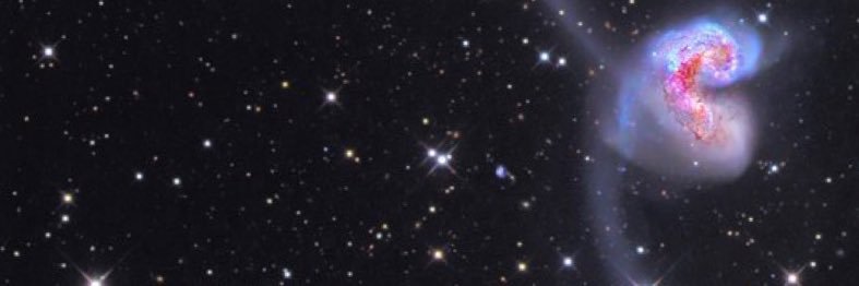 Bby Champaña banner