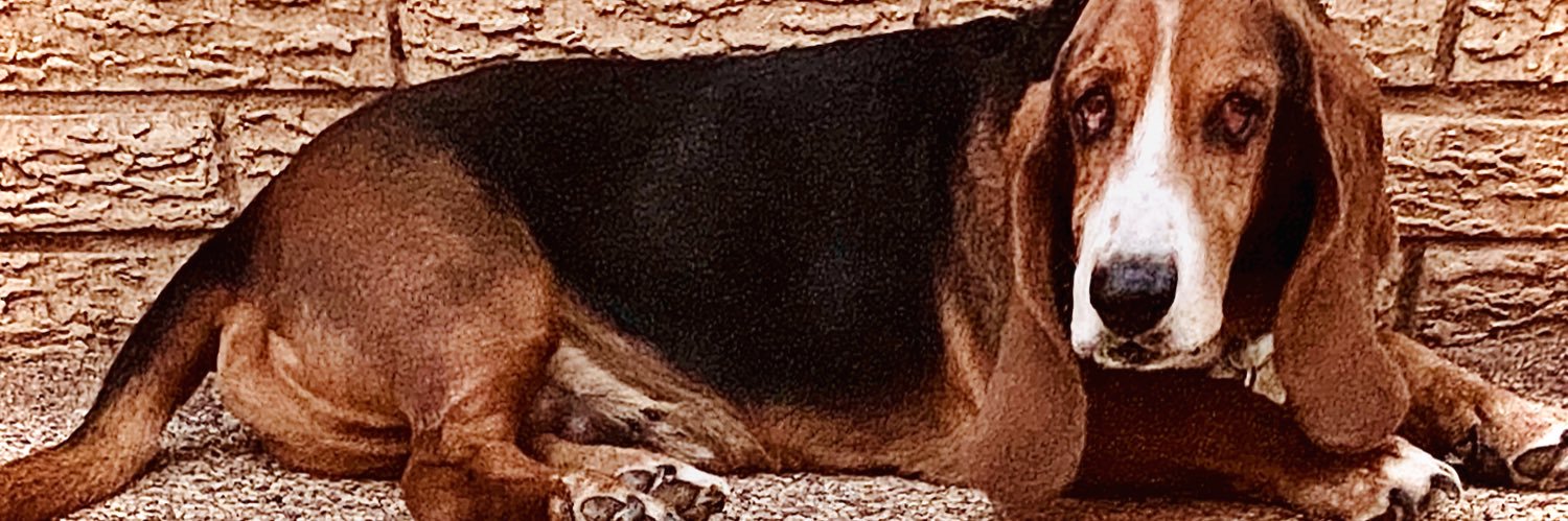 KX_Viking's profile banner image