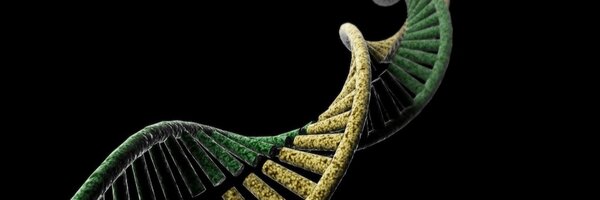 kahmed198 Profile Banner