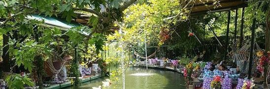 rrourou2's profile banner image