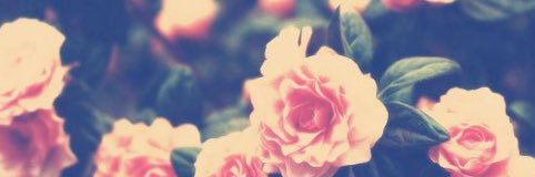 StephxEntwistle's profile banner image