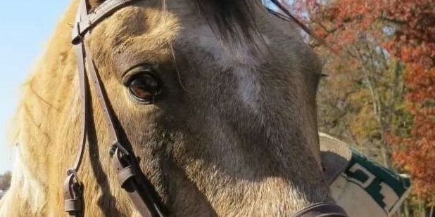 Munkeemunk15's profile banner image