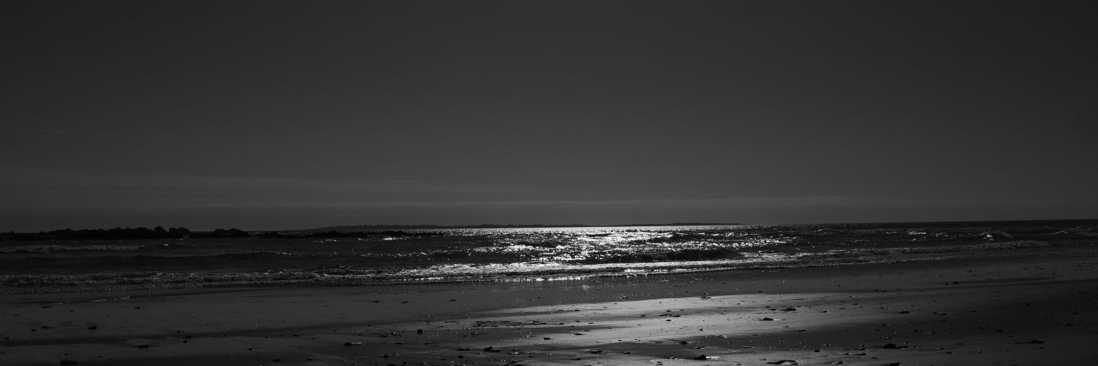 Marchant110's profile banner image