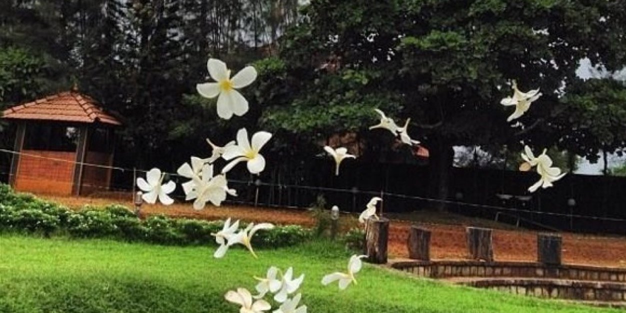 munerah_h's profile banner image