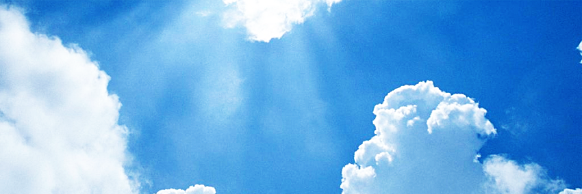 thewildwilly's profile banner image