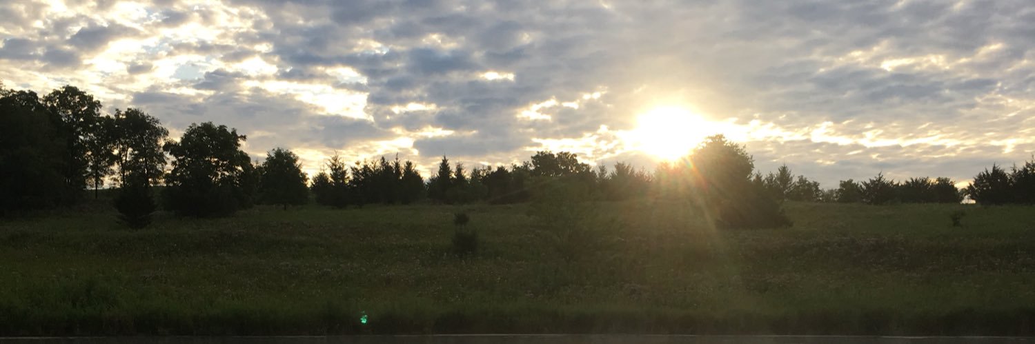 allicakes_'s profile banner image