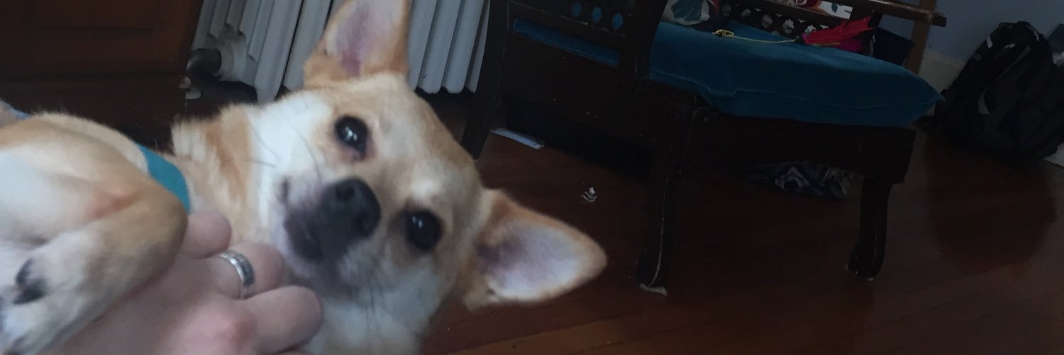 jmhobsonschoice's profile banner image
