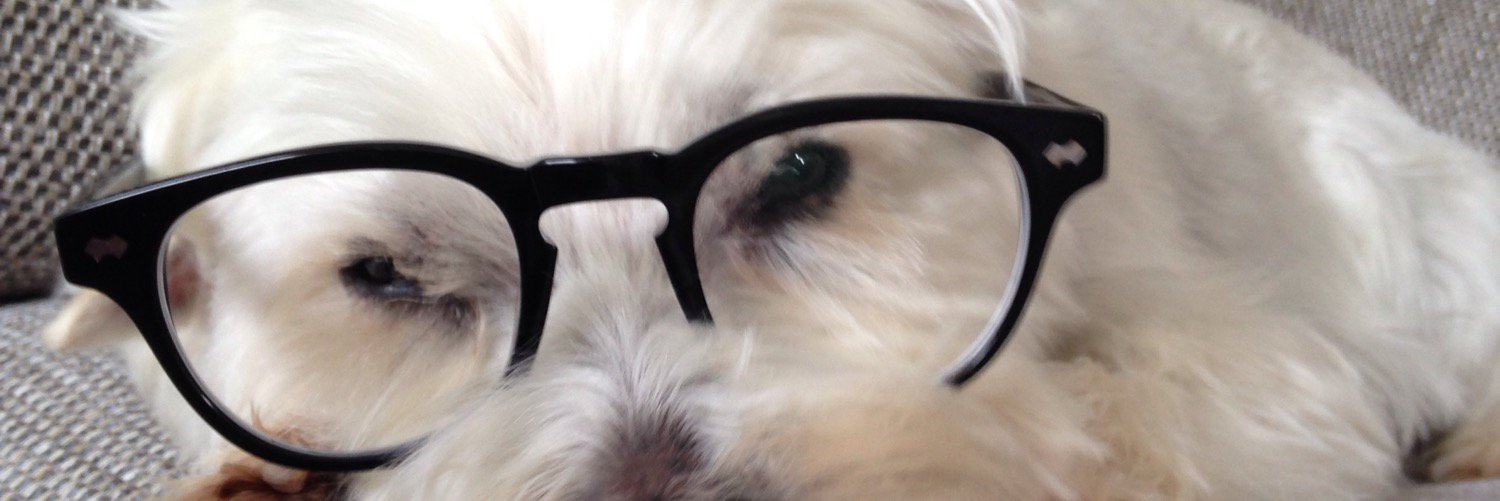 Andile Cebekhulu banner